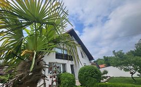 Vila Jovana